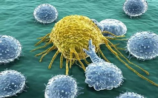 免疫细胞疗法
